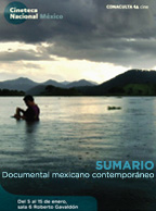 imagen ciclo