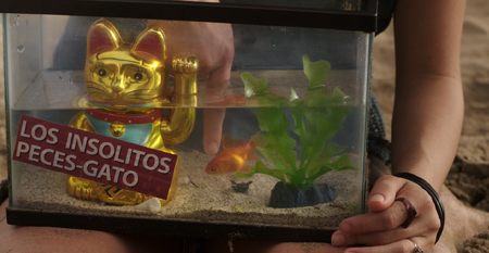 Los insólitos peces gato