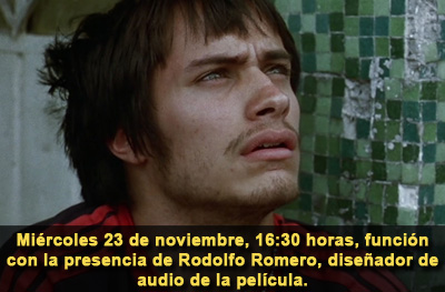 Amores perros