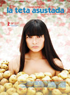 8132-A.jpg