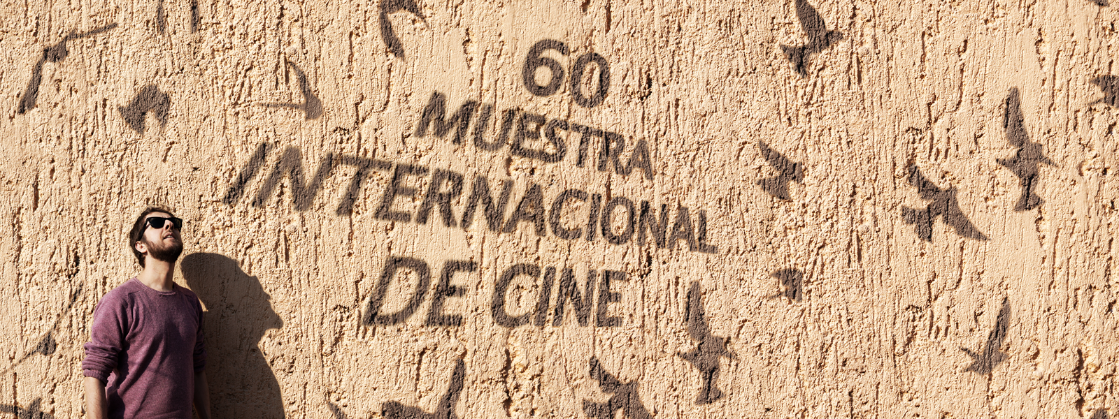 Resultado de imagen para la muestra cineteca nacional